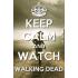 The Walking Dead Halskette *Keep Calm and Kill Zombies*